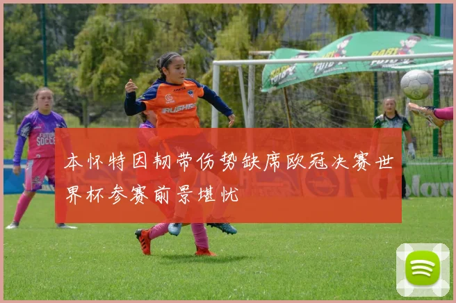 本怀特因韧带伤势缺席欧冠决赛世界杯参赛前景堪忧